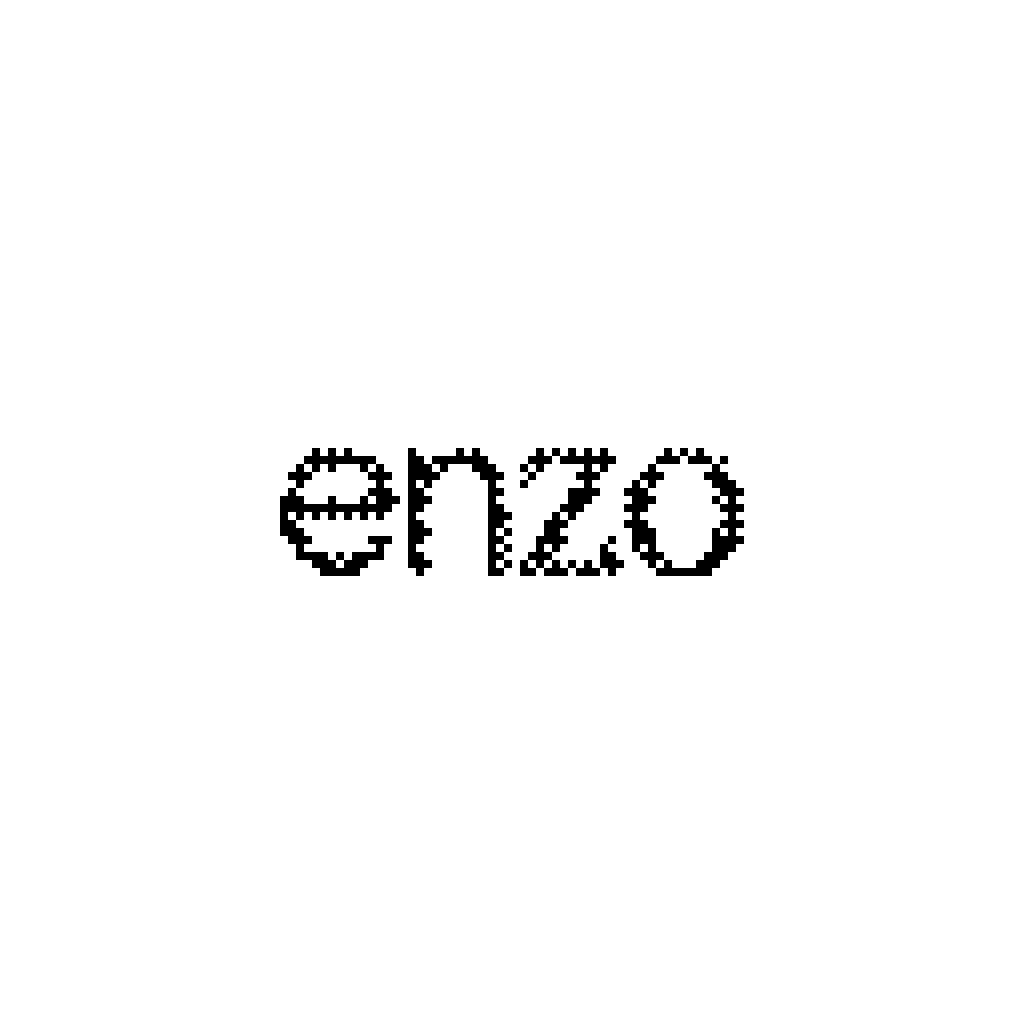 Enzo logo